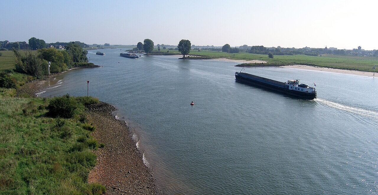 de lek